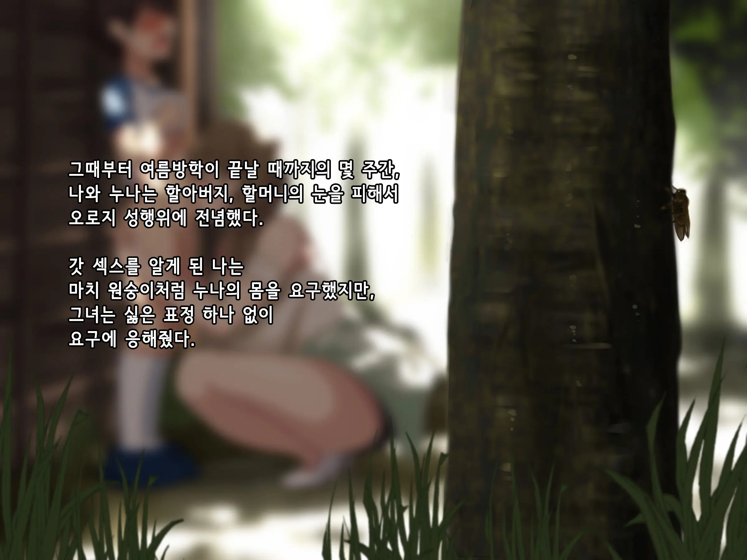 Onee-San To Natsu Yasumi | 누나와 여름방학
